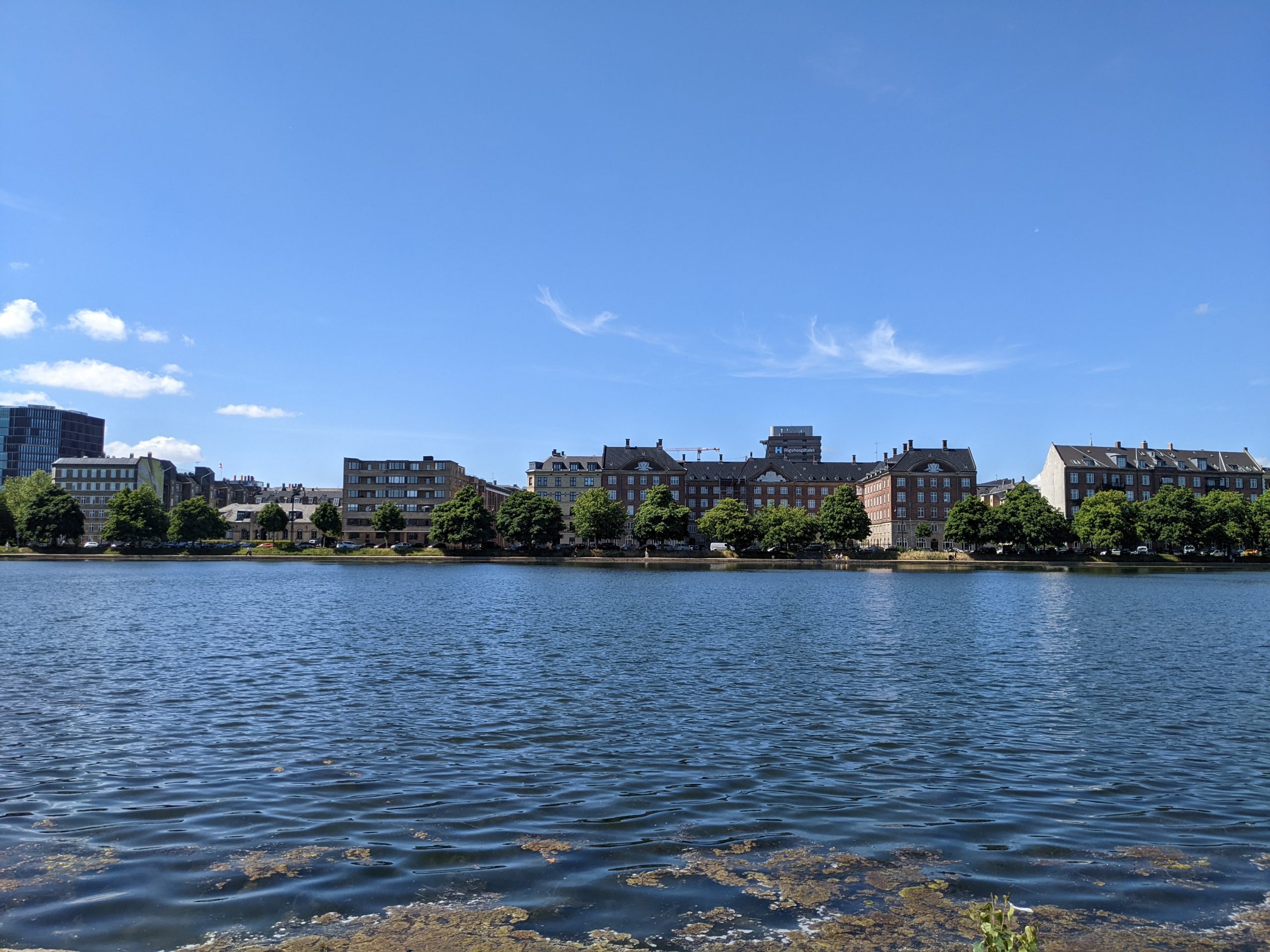 A lake under a blue sky with buildings on the other side